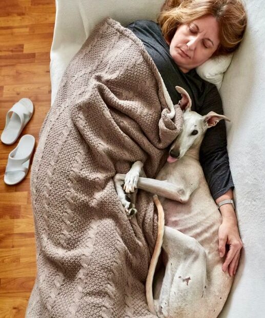 Frau schläft auf Sofa, zugedeckt mit einer Tagesdecke, ein weißer Hund liegt neben ihr und schläft ebenfalls